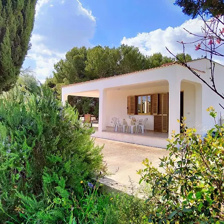 Casa vacanze La Piccola Pineta, 10 Posti Letto Vicino Al Mare *